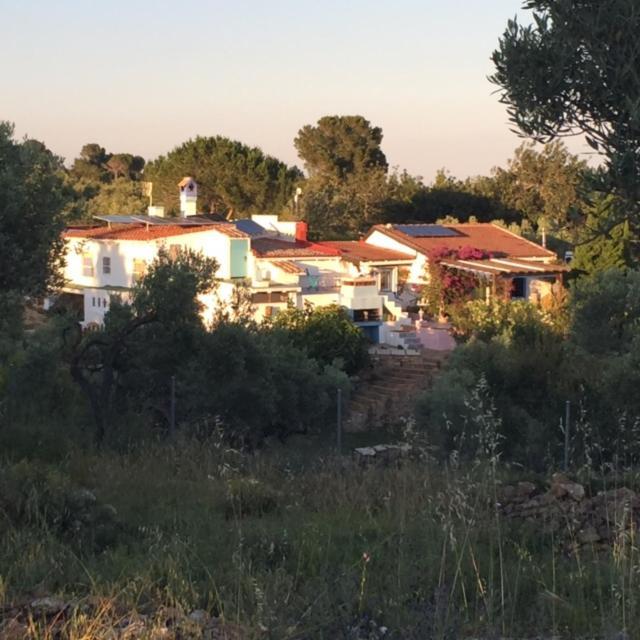 Casa Rural Delta del Ebro Ecoturismo Hostal Camarles Exterior foto