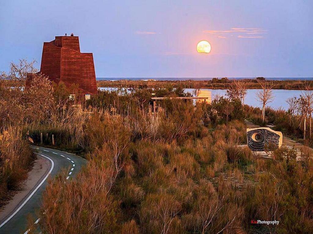 Casa Rural Delta del Ebro Ecoturismo Hostal Camarles Exterior foto