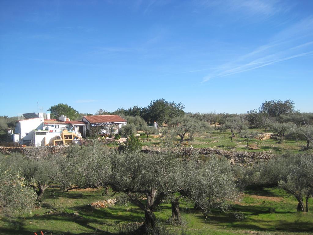 Casa Rural Delta del Ebro Ecoturismo Hostal Camarles Exterior foto