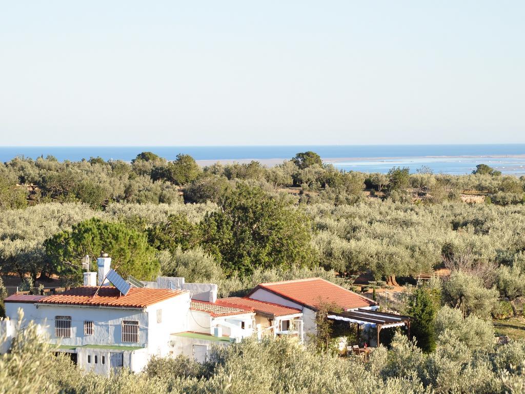 Casa Rural Delta del Ebro Ecoturismo Hostal Camarles Exterior foto