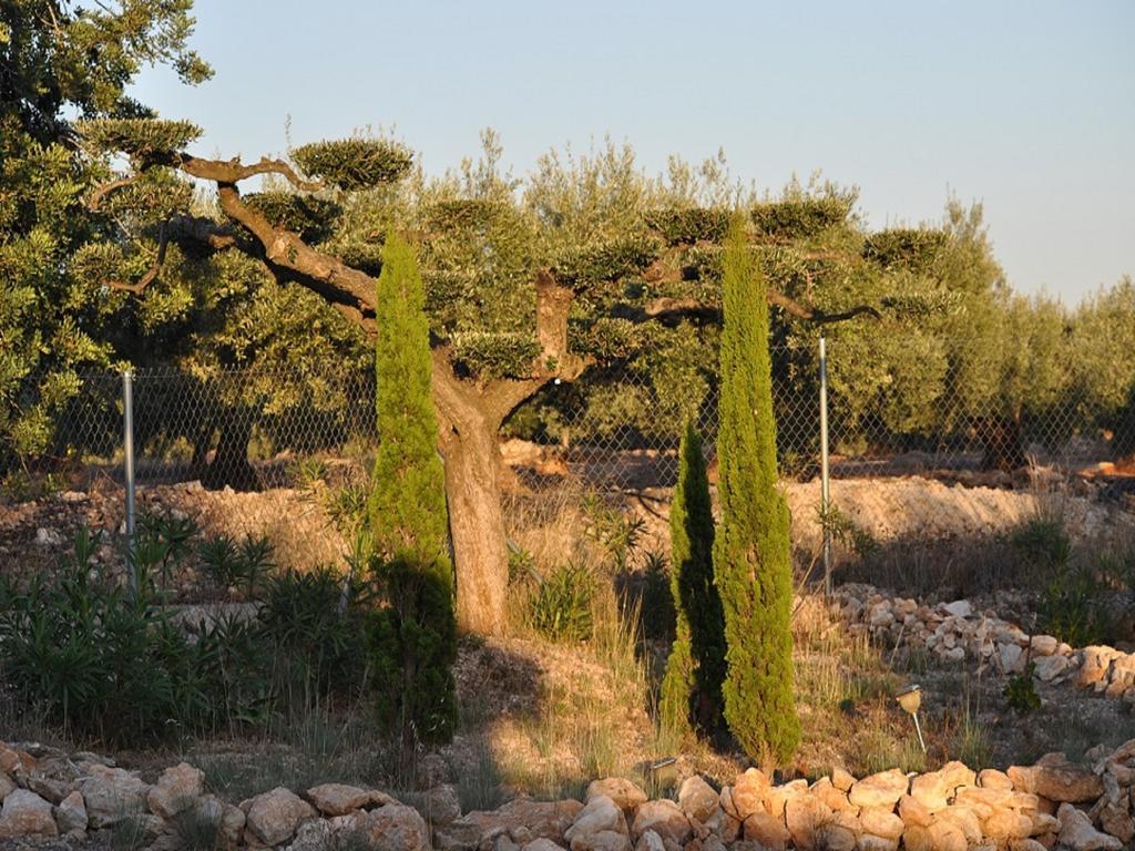 Casa Rural Delta del Ebro Ecoturismo Hostal Camarles Exterior foto