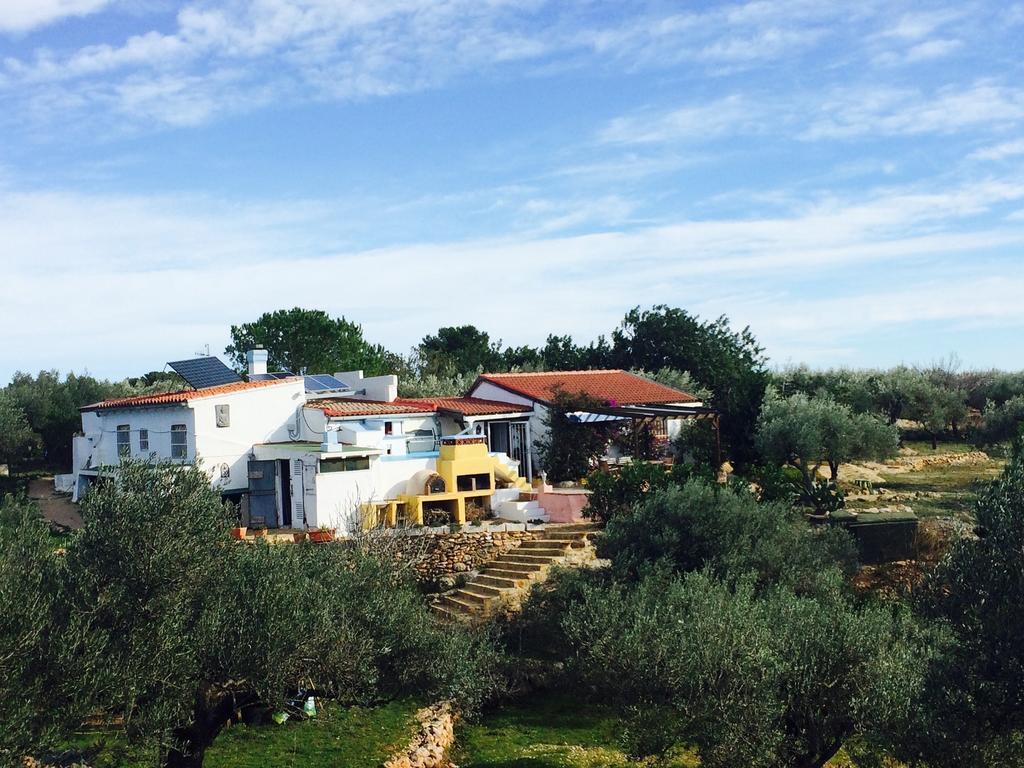 Casa Rural Delta del Ebro Ecoturismo Hostal Camarles Habitación foto