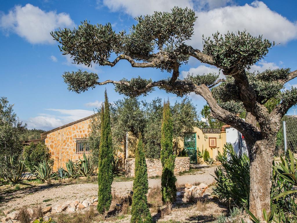 Casa Rural Delta del Ebro Ecoturismo Hostal Camarles Exterior foto